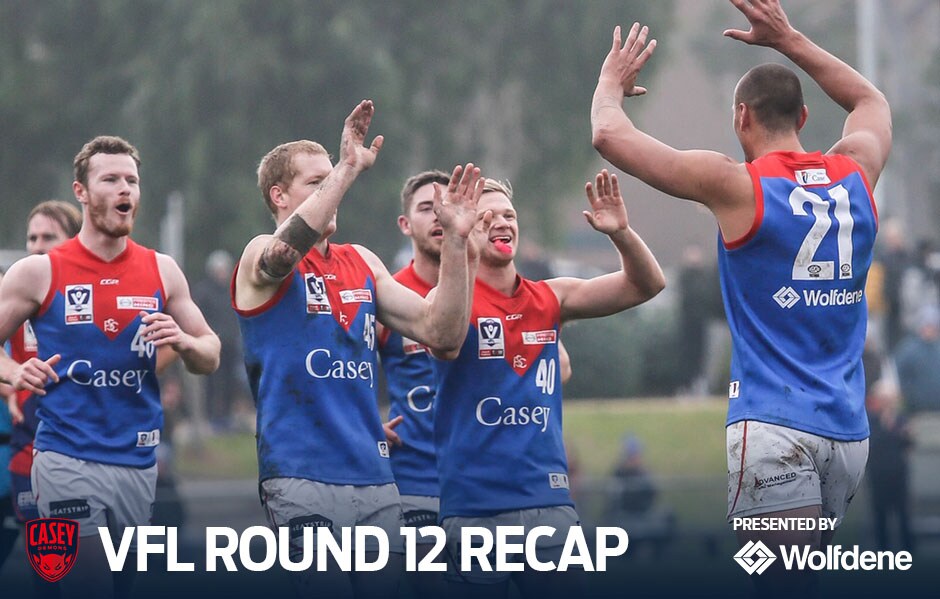 190624_VFL_Rd12Recap.jpg
